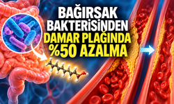 Bağırsak Bakterisinin Ürettiği Madde Farelerde Damar Plağını Yaklaşık %50 Azalttı