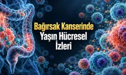 Gençlerde Bağırsak Kanseri: 850 Bin Hücre Çekirdeğinde Yeni Bulgular