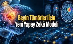 Yapay Zekâ Beyin Tümörlerinin Radyoterapiye Vereceği Yanıtı Öngördü