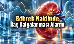 Böbrek Nakli Yapılan 11 Bin 647 Hastanın Verileri İncelendi: Organ Kaybı Riskine Dikkat