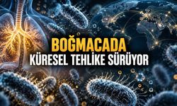 204 Ülkenin Verileri İncelendi: Boğmacanın Küresel Bilançosu Açıklandı