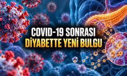 COVID-19 Sonrası Diyabetle İlgili Yeni Mekanizma Ortaya Konuldu
