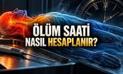 Bir Termometreyle Ölümün İzinde: Cinayet Saatini Hesaplamanın İki Yüzyıllık Hikâyesi