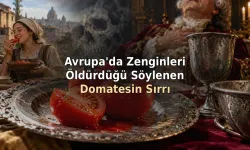 Avrupa'nın Domates Korkusu: Kurşunlu Tabakların Ardındaki Gerçek