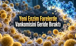 RNA ve Kemoterapi Birlikte Denendi: Farelerde Tümör Hacmi Yüzde 93'e Kadar Azaldı