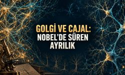 İki Bilim İnsanı Beynin Yapısını Tartıştı: Golgi ve Cajal’ın Nobel’e Uzanan Mücadelesi
