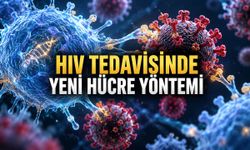HIV'e Karşı Deneysel Hücre Tedavisi Farelerde Etki Gösterdi, İnsan Çalışmaları Bekleniyor