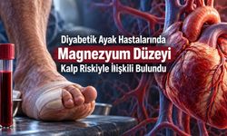 Diyabetik Ayak Hastalarında Magnezyum Düzeyi Kalp Damar Riskiyle İlişkili Bulundu