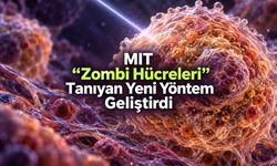 Yaşlanan Hücrelerin “Barkodu” Bulundu: MIT’den Yeni Yöntem