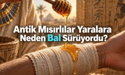 Antik Mısırlılar Yaralara Neden Bal Sürüyordu?
