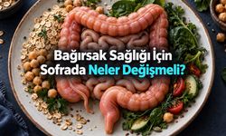 Bağırsak sağlığı için nasıl beslenmeli, hangi ürünleri sınırlamalı?