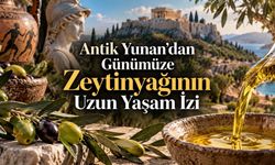 Antik Yunan’ın Vazgeçilmezi Zeytinyağı: Uzun Yaşamla Gerçekten İlişkili mi?