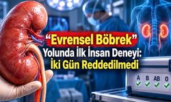 Enzimlerle A grubu böbrek O grubuna çevrildi: İnsan modelinde ilk nakil