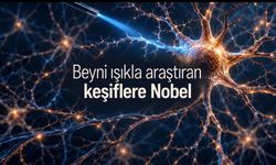 2026 Nobel Tıp Ödülü Deisseroth, Hegemann ve Nagel’e verildi