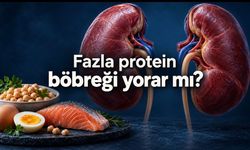 Yüksek protein böbreği yorar mı? Sağlıklı böbrekle hastalıklı böbreğin farkı