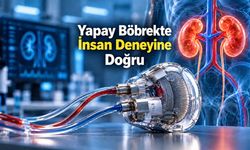 Diyalizin Sonu Olabilir mi? Yapay Böbrekte İnsan Deneyine Doğru