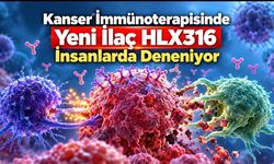 Kanser İmmünoterapisinde Yeni Yaklaşım: HLX316 İnsanlarda Test Ediliyor