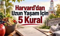 Harvard Uzun Yaşam İçin Reçeteyi Açıkladı: Egzersizden Uykuya 5 Temel Adım
