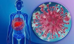 Hepatit B Nedir? Belirtileri, Bulaşma Yolları ve Güncel Tedaviler