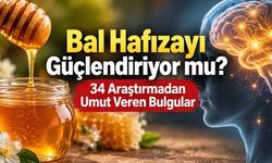 Bal Hafızayı Güçlendiriyor mu? 34 Araştırmanın Ortaya Koyduğu Bulgular