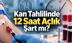 Kan Tahlilinden Önce 12 Saat Aç Kalmak Şart mı? 101 Bin Kişilik Araştırma