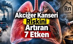 Akciğer Kanseri Risk Faktörleri: Sigara Dışı Nedenler ve Yanlış Bilinenler
