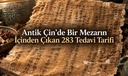 Antik Çin'de 52 Hastalık ve 283 Tedavi Tarifi: Mawangdui İpek Yazması