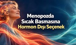 Menopozda sıcak basmasına karşı beyindeki ısı düzenini hedefleyen ilaçlar