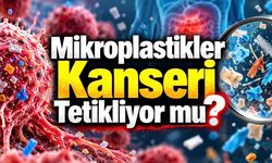 Prostat Tümörlerinde 2,5 Kat Fazla Mikroplastik Bulundu