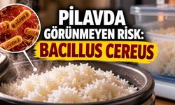 Dünden Kalan Pilavı Isıtmak Yetmeyebilir: Asıl Risk Nasıl Saklandığında