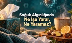Soğuk algınlığını bir günde geçirmek mümkün mü? Rahatlamakla iyileşmek aynı değil