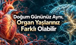 Organlar aynı hızda mı yaşlanır? Biyolojik yaş araştırmaları ne gösteriyor?