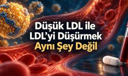 15 milyon kişilik araştırmada LDL ile kalp-damar ölümleri arasında U şeklinde ilişki