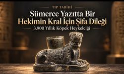 Sümerce Yazıtta Bir Hekimin Kral İçin Şifa Dileği: 3.900 Yıllık Köpek Heykelciği