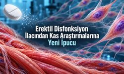 Tadalafil, laboratuvar deneyinde kas öncülü hücrelerin çoğalmasını artırdı