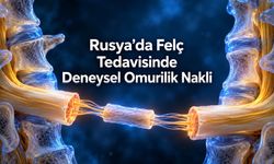 Rusya'da İlk İnsan Omurilik Nakli Yapıldığı Açıklandı