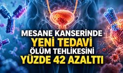 VOLGA Faz 3: Durvalumab ve Enfortumab Vedotin Mesane Kanserinde Sağkalımı İyileştirdi