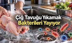 Çiğ Tavuğu Yıkayanların Yüzde 60'ının Lavabosunda Bakteri Saptandı