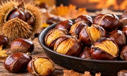 Kestanenin Faydaları Nelerdir? Kan Şekerini Yükseltir mi?