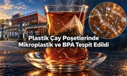 Türkiye’de 4 Plastik Çay Poşeti Markası İncelendi: 3 Dakikalık Demlemede Binlerce Mikroplastik Tespit Edildi