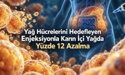 Yağ hücrelerini hedefleyen deneysel enjeksiyon, karın içi yağda yüzde 12 azalma sağladı