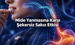Mide Yanmasında Şekersiz Sakız: Araştırmada Yemek Sonrası Asit Teması Azaldı