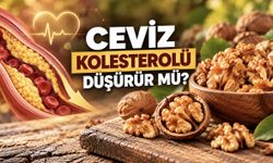 Cevizin Faydaları Nelerdir? Kolesterolü Düşürür mü?