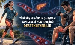 İnsülin direncinde kasları güçlendirmek kan şekeri kontrolünü destekleyebilir