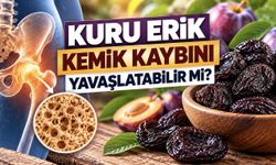 Kuru Erik Kemik Kaybını Yavaşlatır mı? 235 Kadınla Yapılan Araştırma