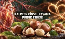 Kalp Sağlığından Cinsel Yaşama Fındığın Şaşırtan Faydaları