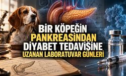 Bir Köpeğin Pankreasından Diyabet Tedavisine Uzanan Laboratuvar Günleri