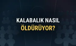 Kalabalıklar Neden Ölümcül Olabilir? “Crowd Crush” Olaylarının Tıbbı