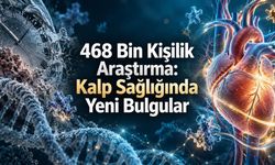 468 Bin Kişilik Araştırma: Kırılganlığın Gerilemesi Daha Düşük Kalp Riskiyle İlişkili