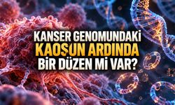 Kanserde MYC Geninin Çoğalması Sanıldığı Kadar Rastlantısal Olmayabilir